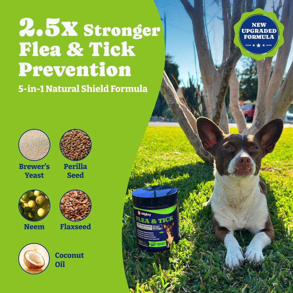 YoYoBay dog flea and tick prevention chews bottle, convenient daily protection