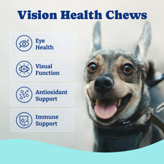YoYoBay eye supplement chews in duck & pear flavor for dogs' eye health support.