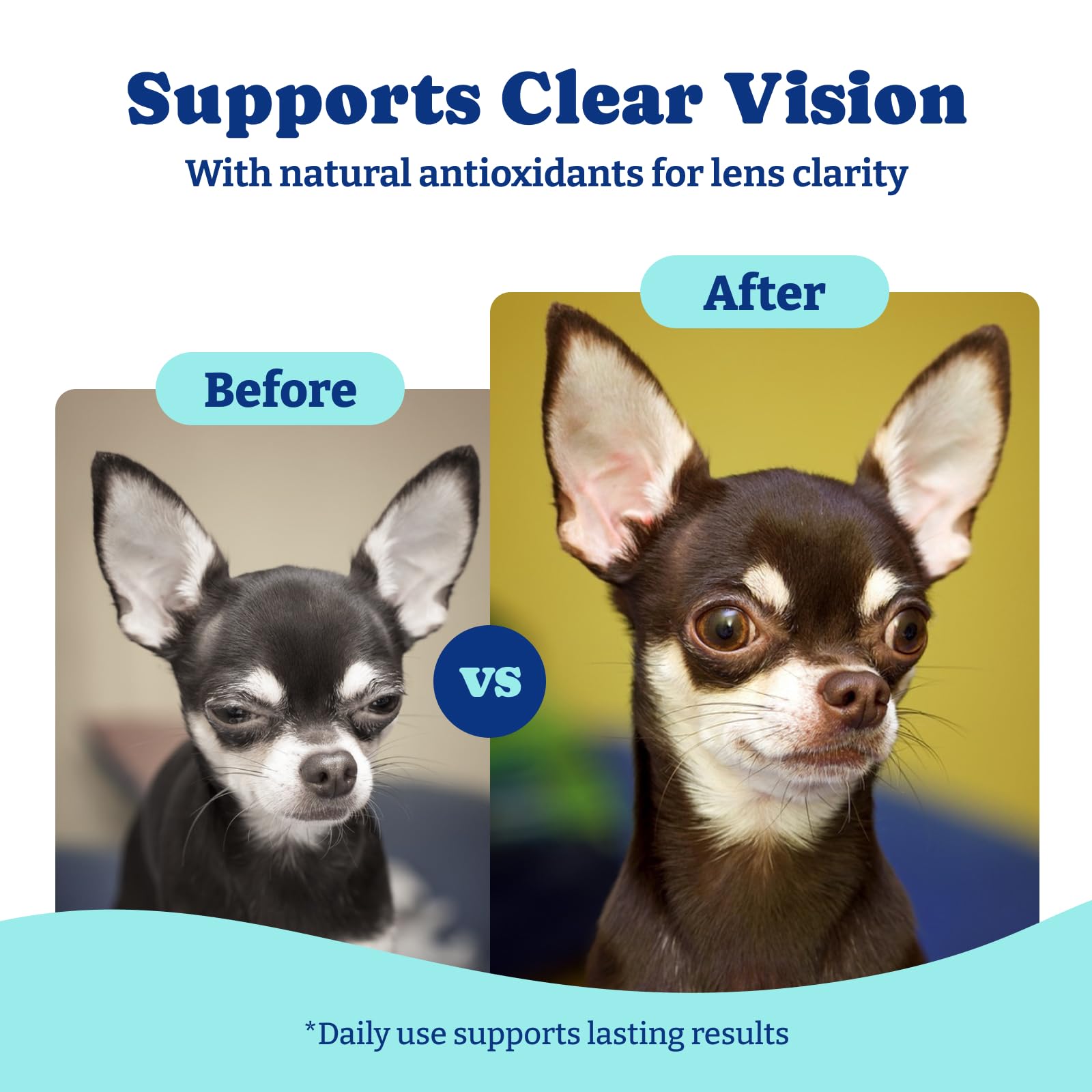 YoYoBay eye supplement dog chew used daily for routine.