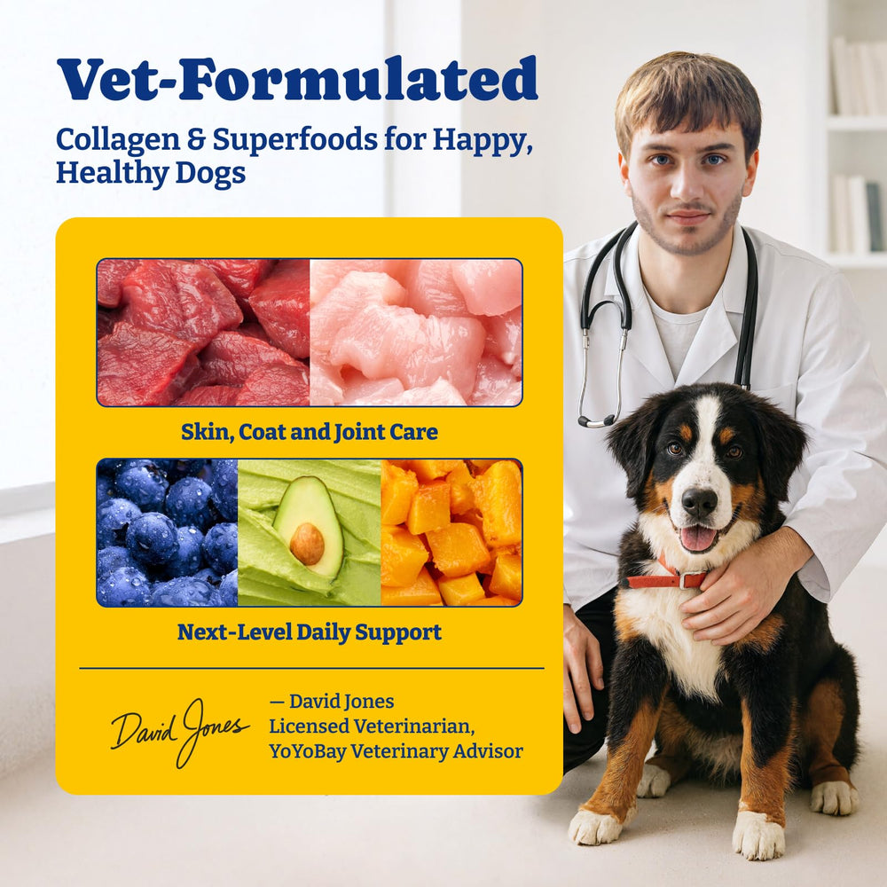 YoYoBay hyaluronic acid joint-support image highlights mobility benefits