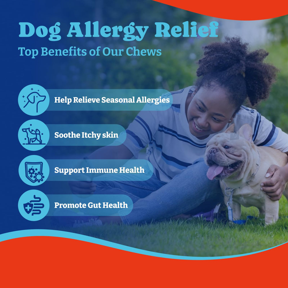 YoYoBay immune support daily dog treats designed for ongoing use.