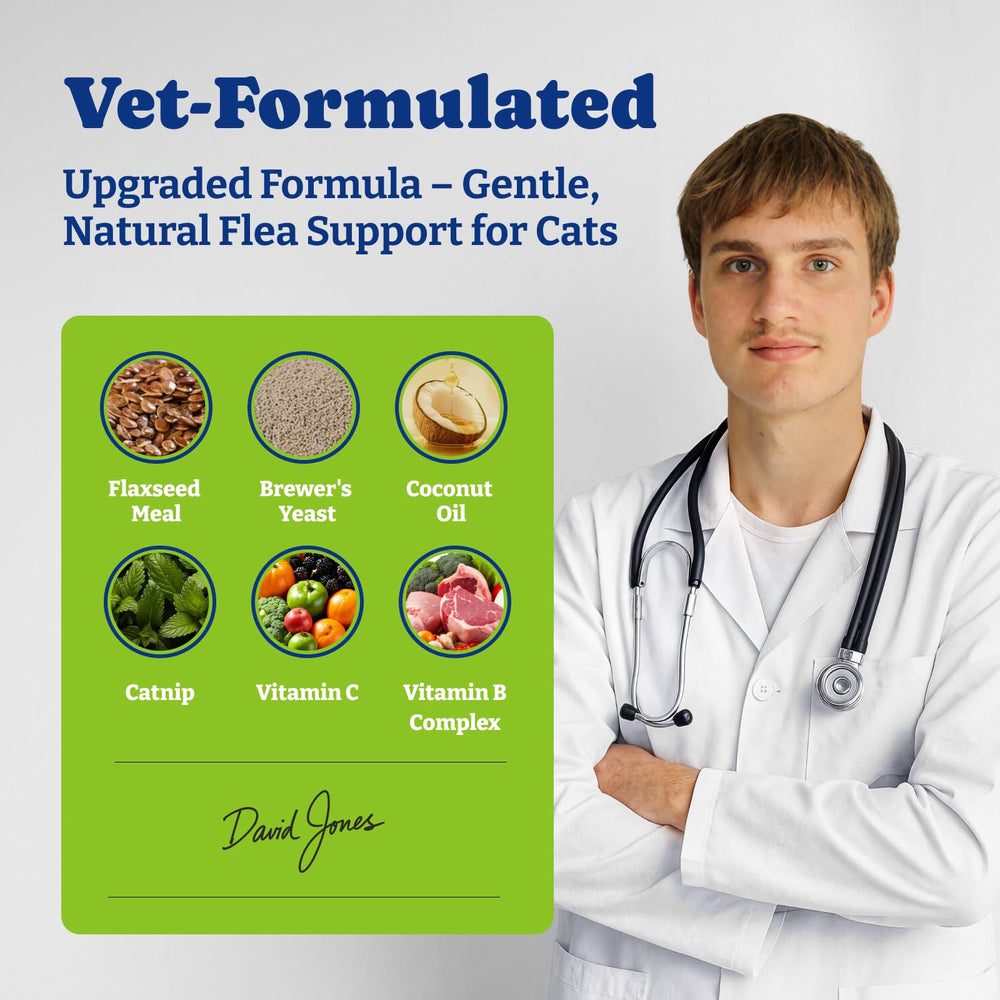 YoYoBay immune-support ingredients emphasize holistic wellness for cats