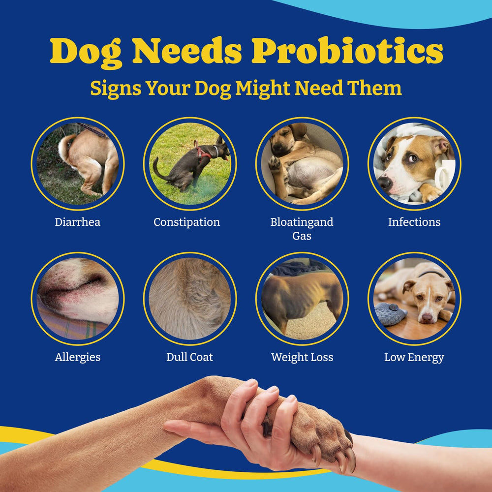 YoYoBay Probiotics for Dogs 180-chews packaging for extended use