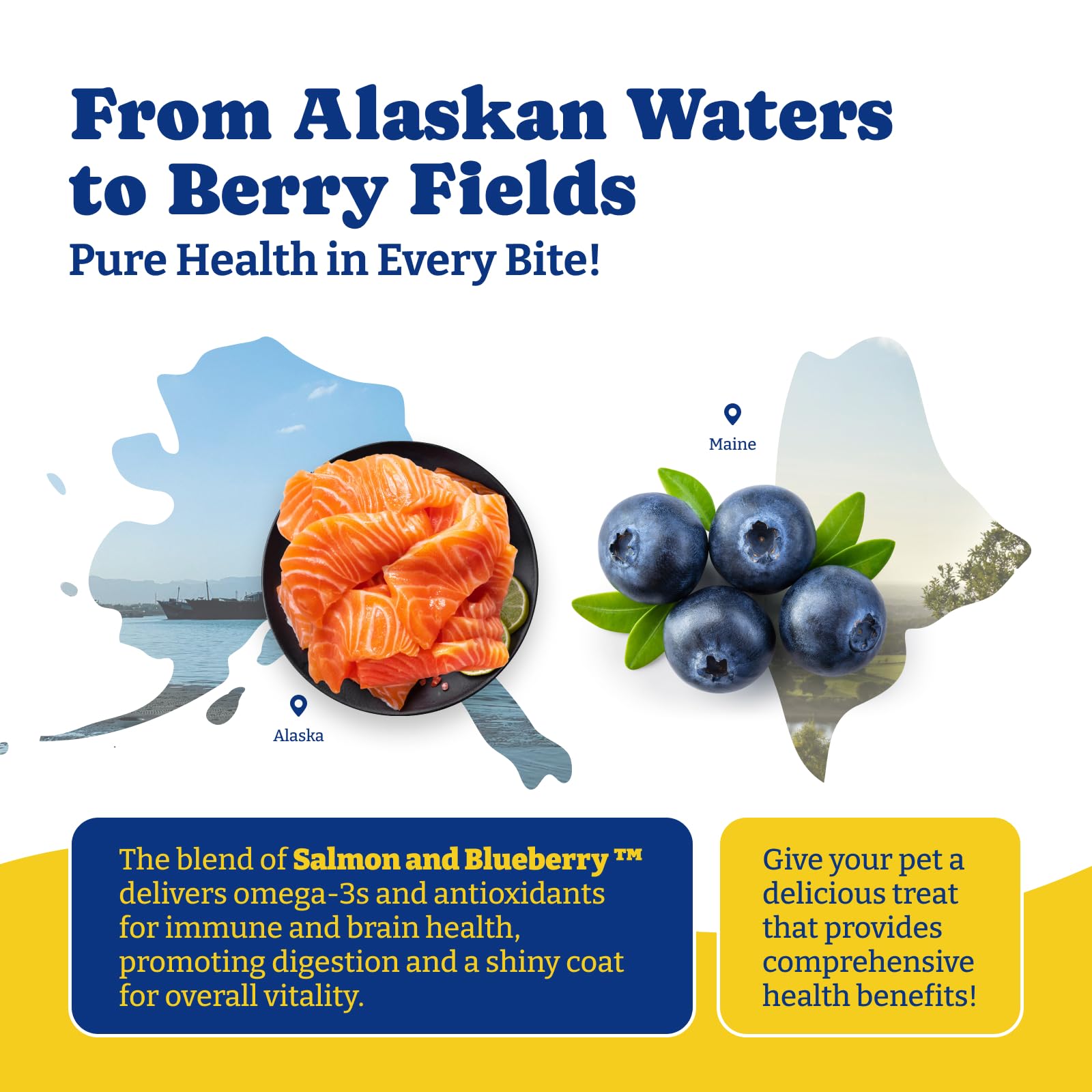 YoYoBay chews scent hints at salmon blueberry flavor.