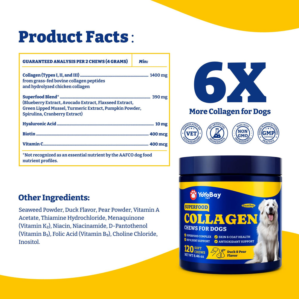YoYoBay dog skin coat health benefits with shinier coat