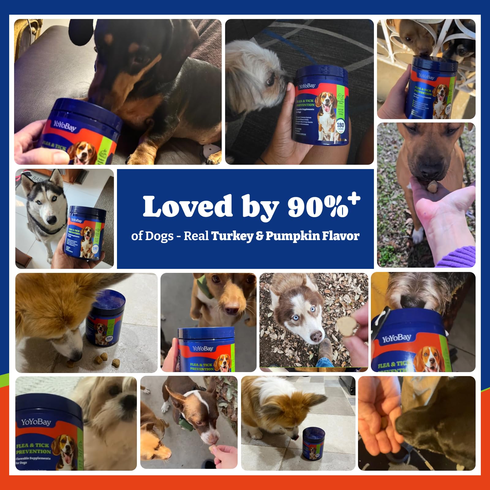 YoYoBay soft chews close-up highlighting turkey pumpkin flavor your dog will love