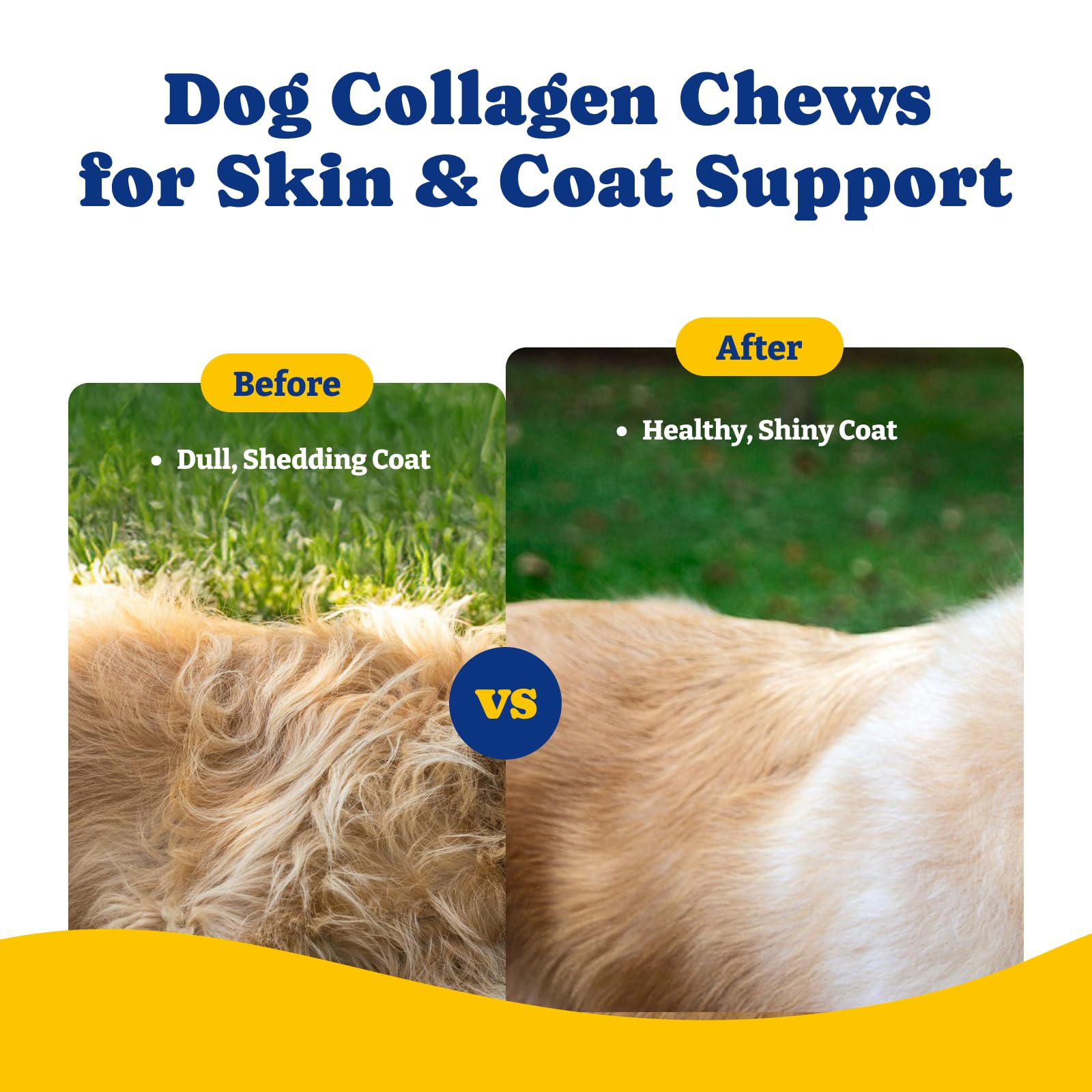 YoYoBay Type I-III collagen blend for joints and cartilage