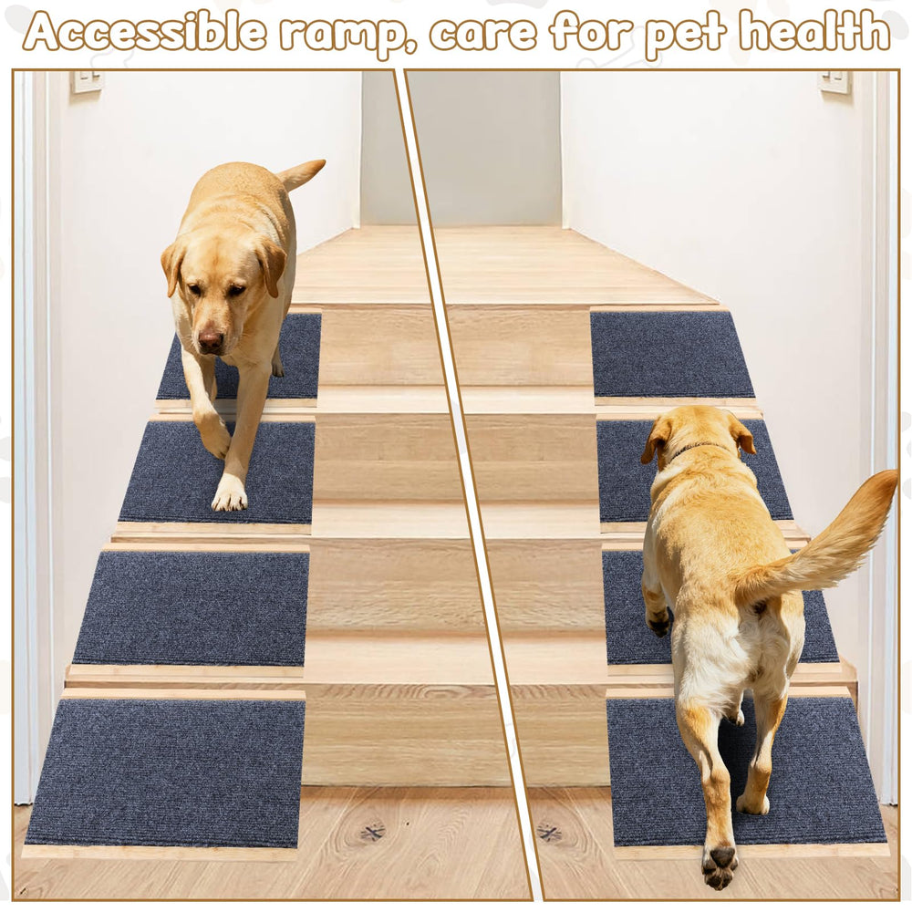 yrriemcmy gentle slope ramp shows wide walking surface for confident climbing
