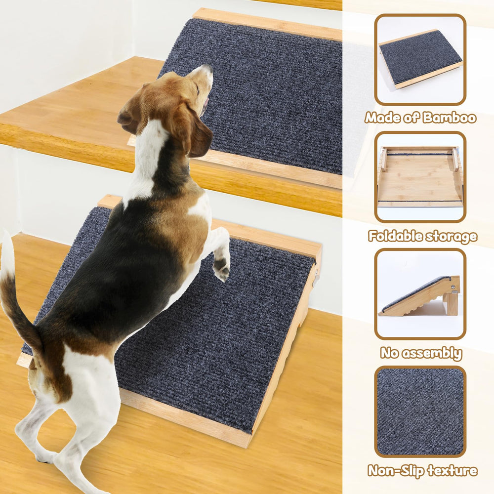 yrriemcmy training tips ramp image encourages patient practice with pets