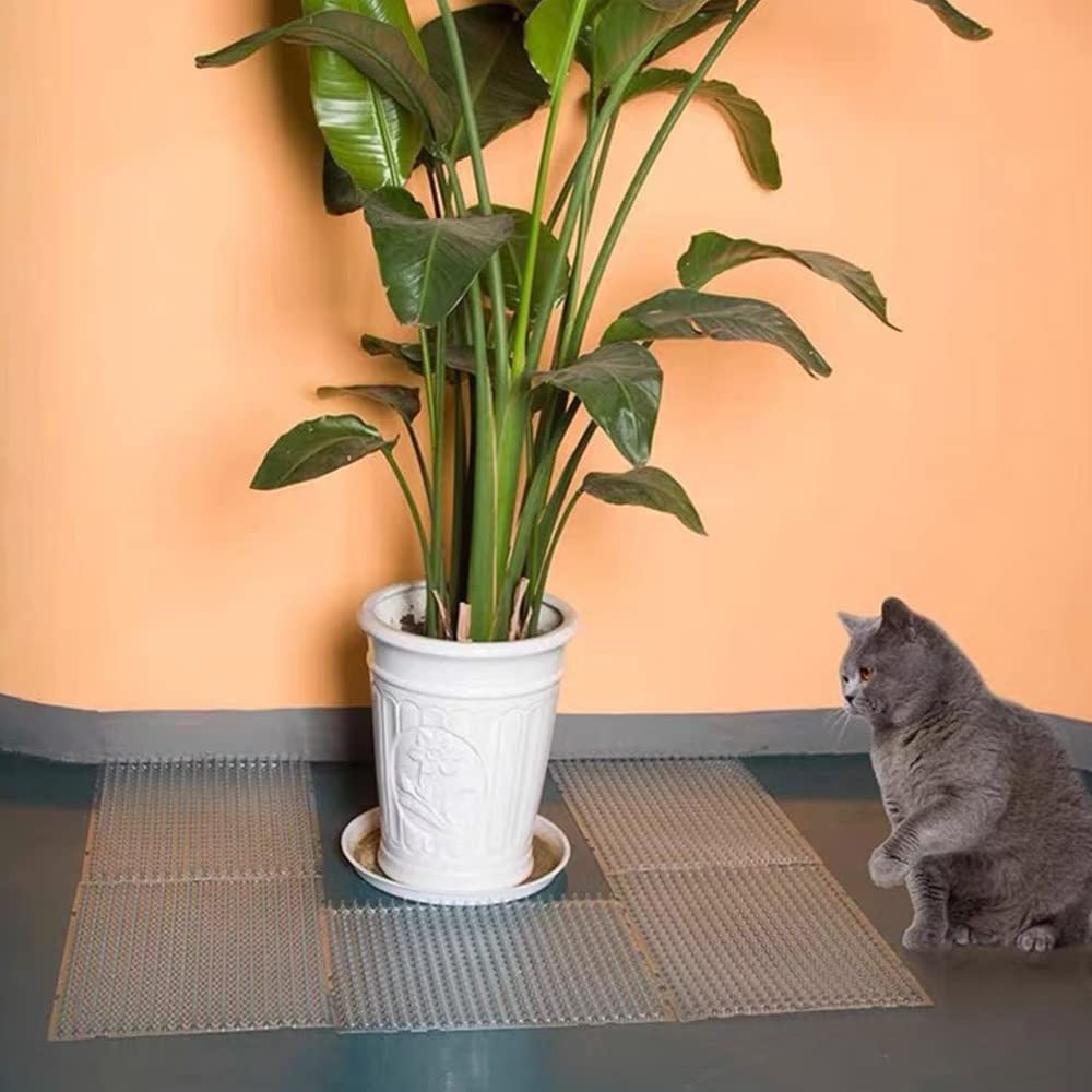 Ysglory cat spike mat placed on couch to deter jumping.