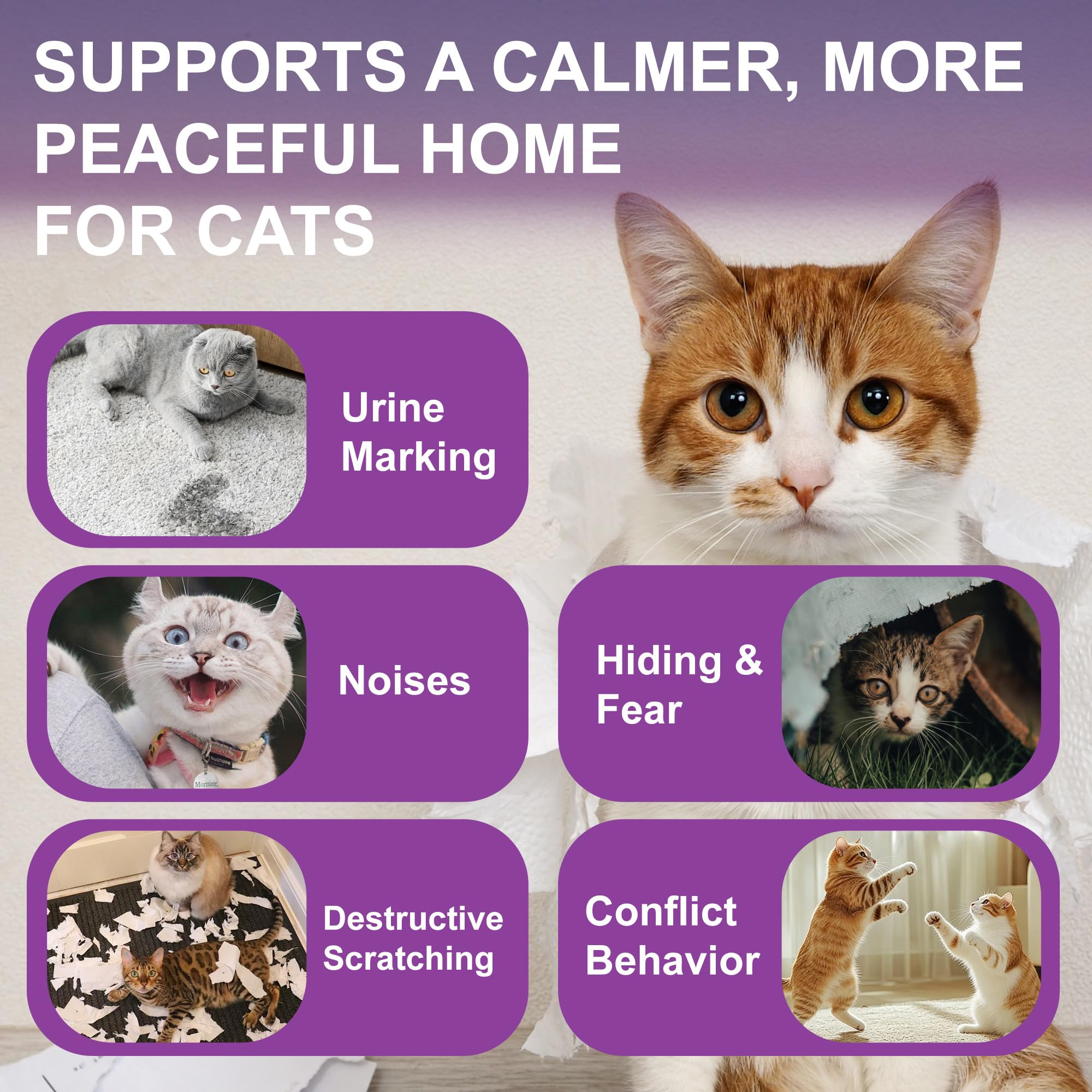Ytcx.Tech natural pheromone comfort technology replicates mother-cat signals for calm emotional security.