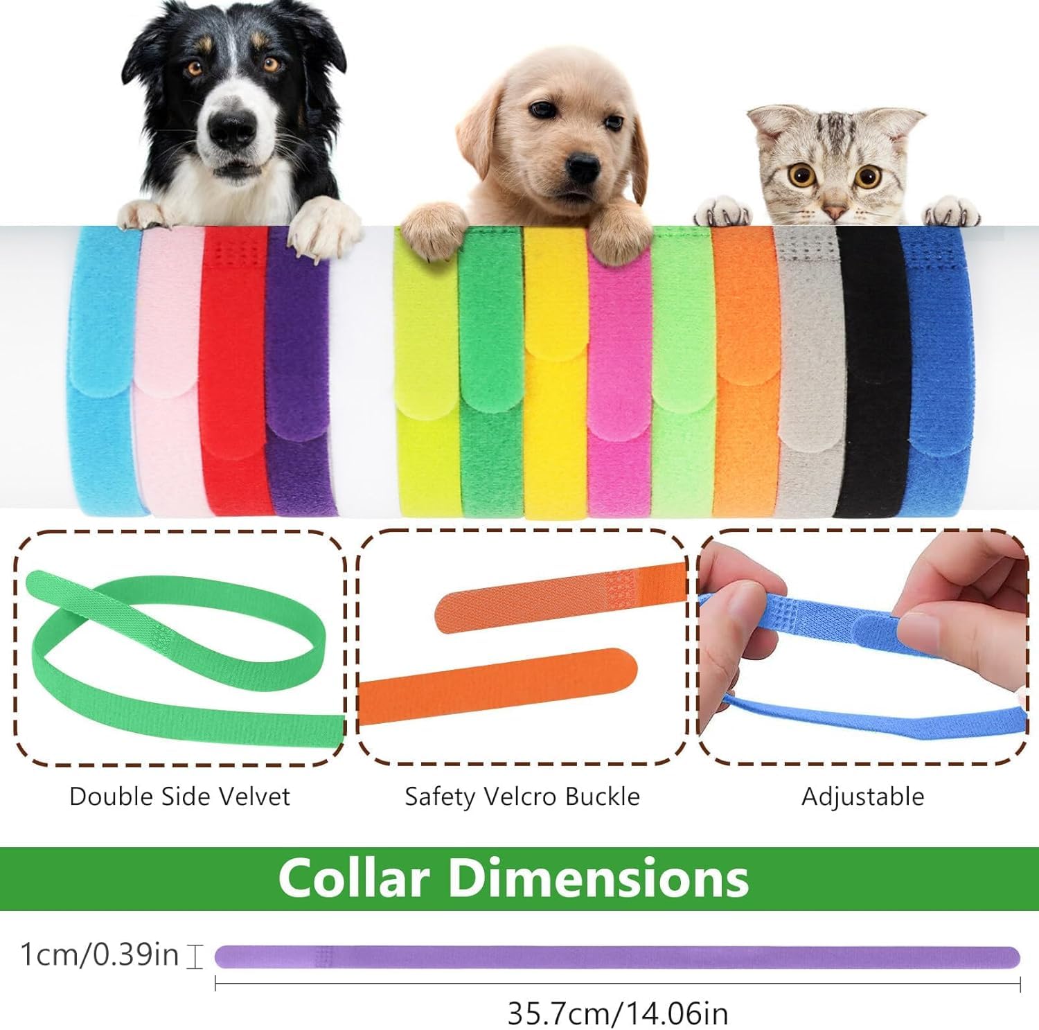 YTCYKJ container-weigh method for restless pets under 33 lb.