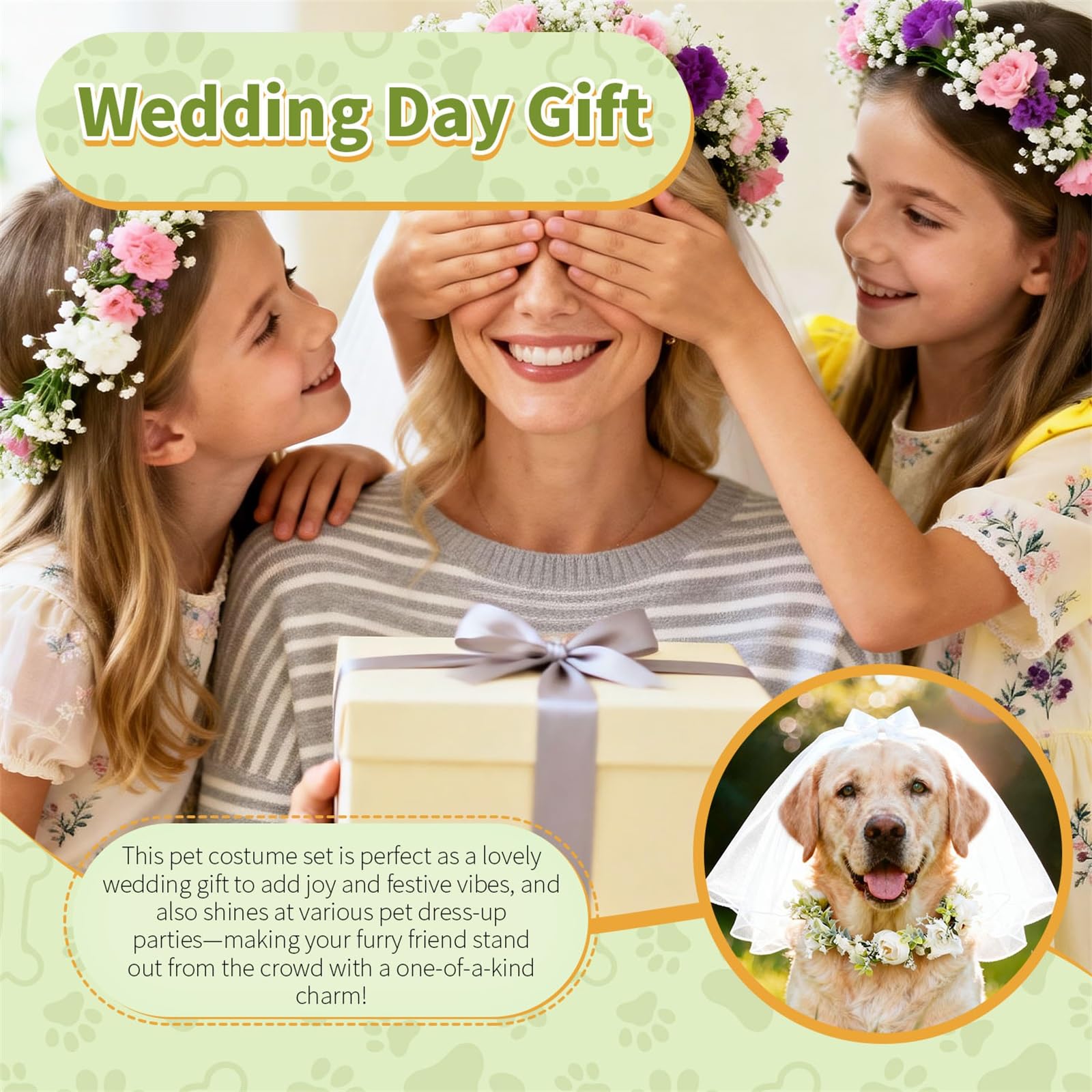 YUAN KE GUANG DIAN ceremony-ready set supports photogenic pet moments
