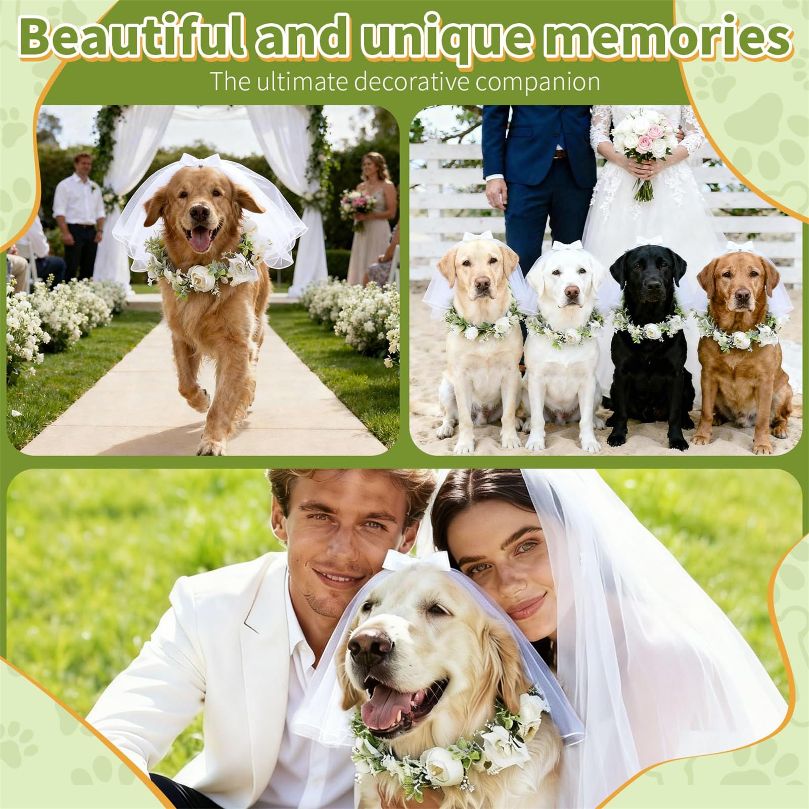 YUAN KE GUANG DIAN wedding ensemble on dog ready for ceremonies and photos