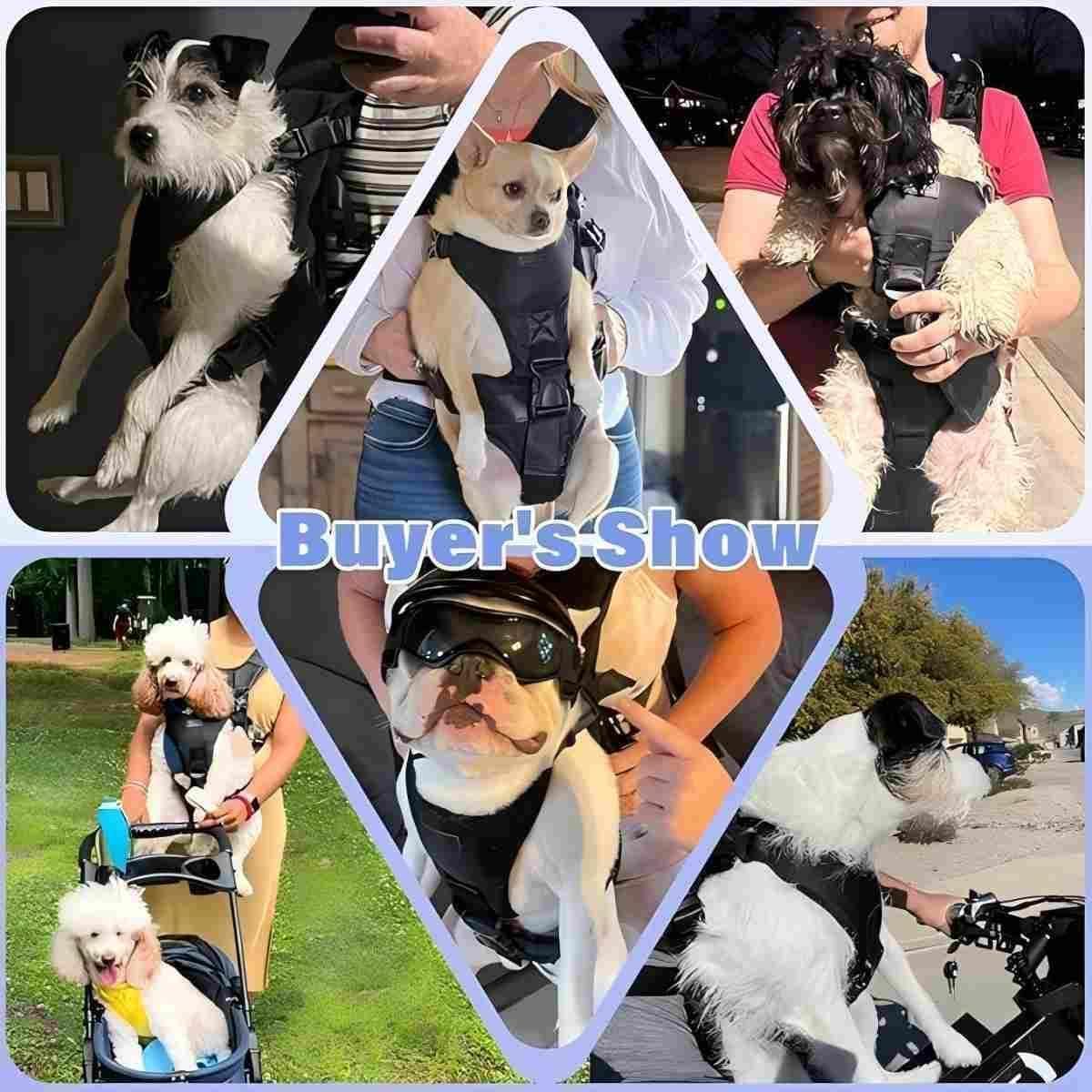 Secure zippers and sturdy closure on YUDODO front carrier for active use