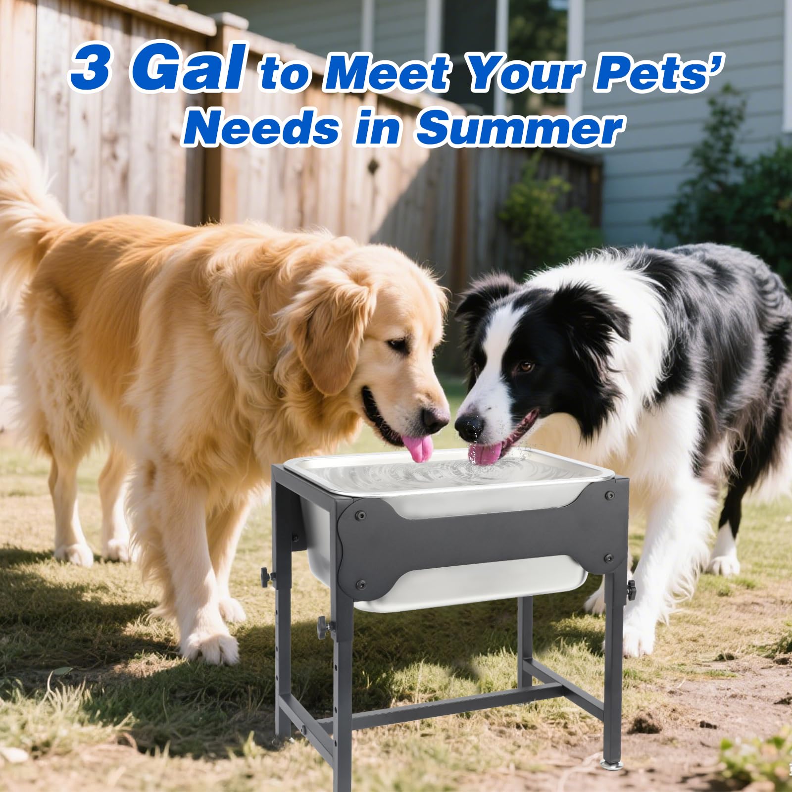 YUEPET bone-shaped plates and chalk to personalize the dog station