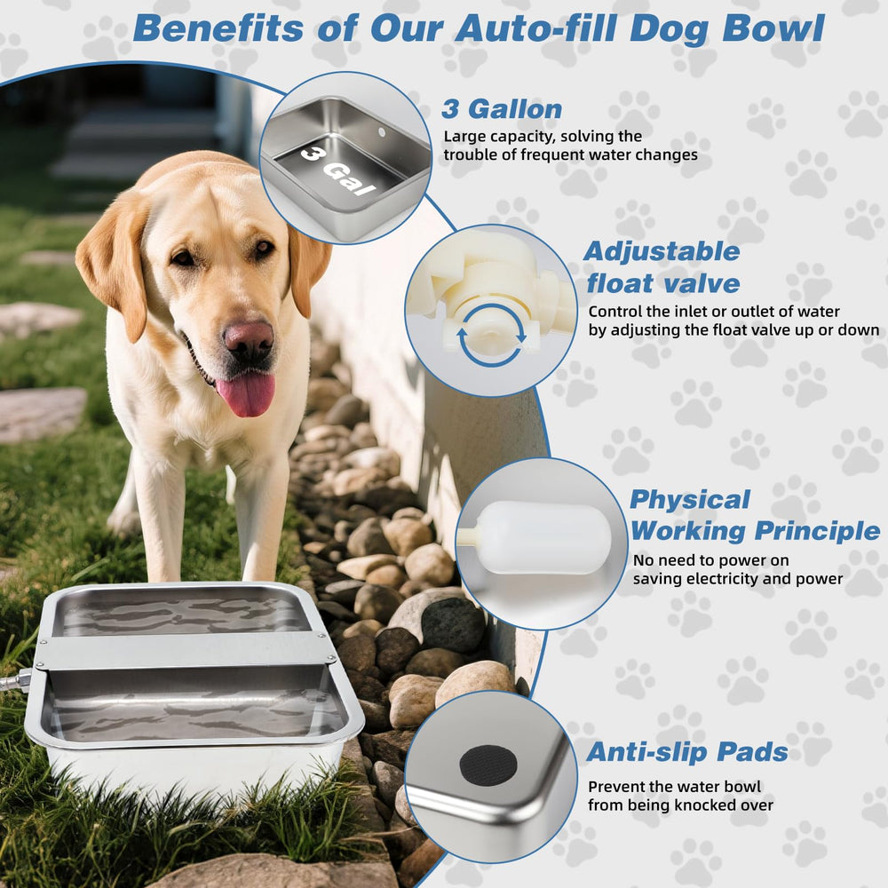 YUEPET stainless steel bowl close-up highlighting rust-proof surface.