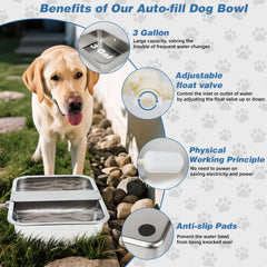 YUEPET stainless steel bowl close-up highlighting rust-proof surface.