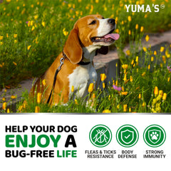 YUMA'S all-breeds flea tick chews, soft and tasty
