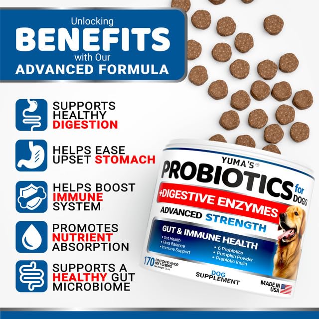YUMA'S Probiotics for Dogs close-up of bacon-flavored chews for digestive comfort