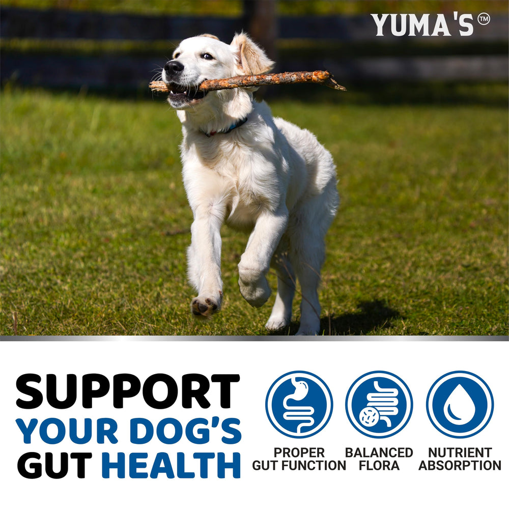 YUMA'S Probiotics for Dogs serving size image shows portions for all sizes
