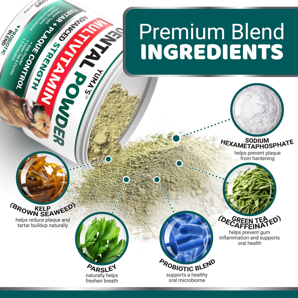 YUMA'S dental powder promotes lasting breath freshness with natural ingredients