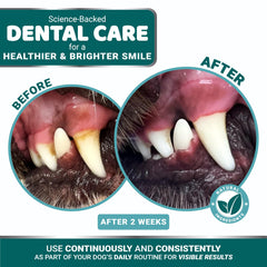 YUMA'S Advanced dog dental powder targets plaque and tartar while supporting gum health