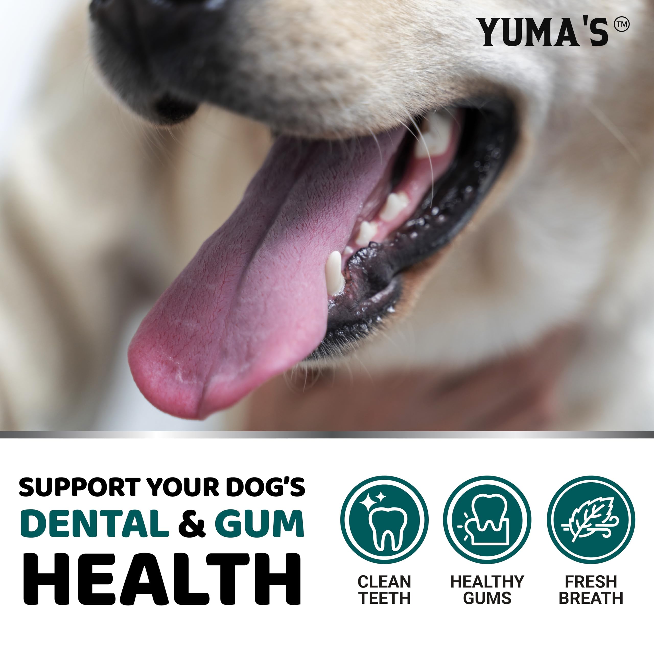 YUMA'S probiotic multivitamin powder for dogs supports oral care and overall well-being