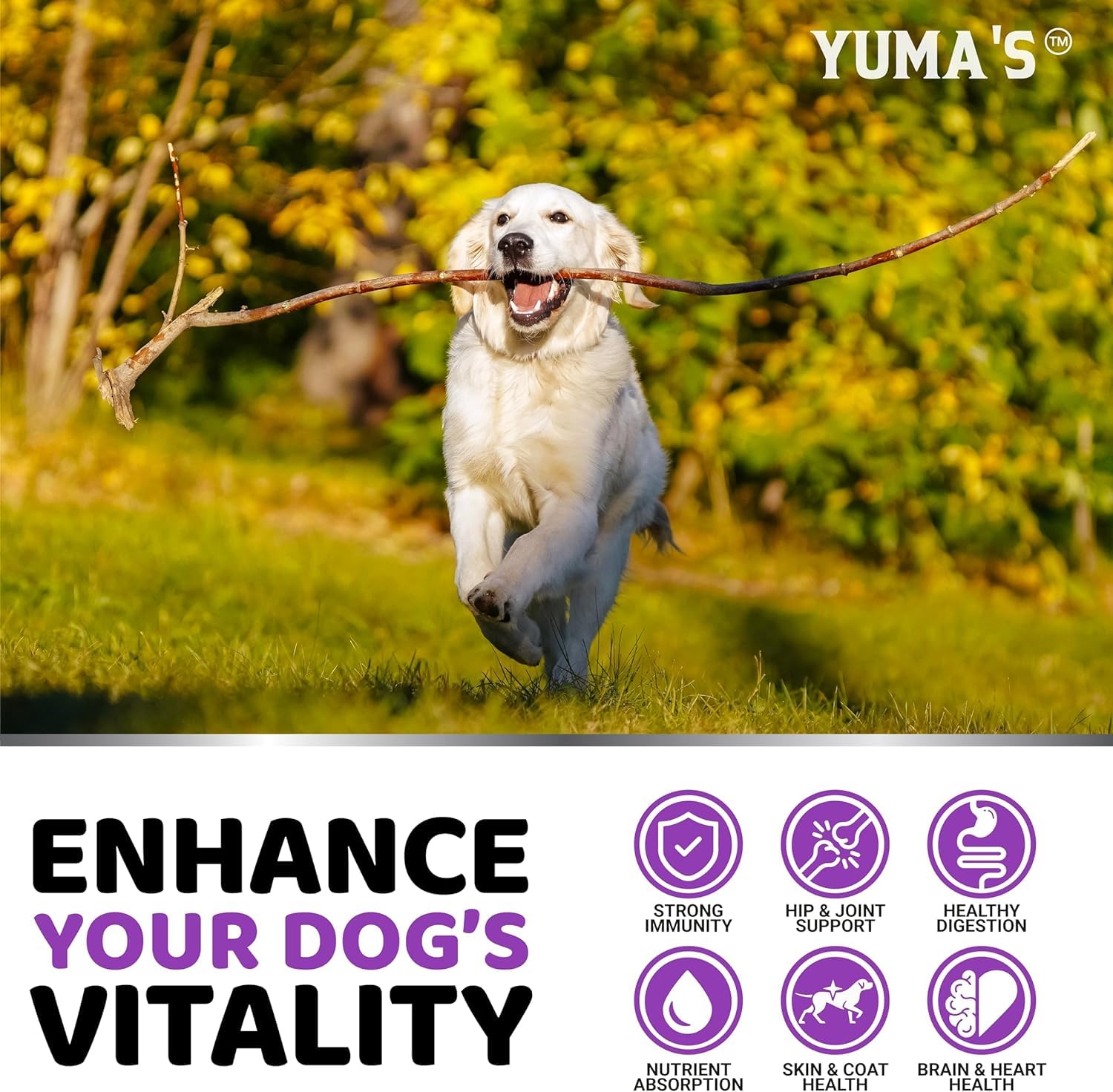 YUMA'S all-dogs multivitamin chews suit puppies to seniors.
