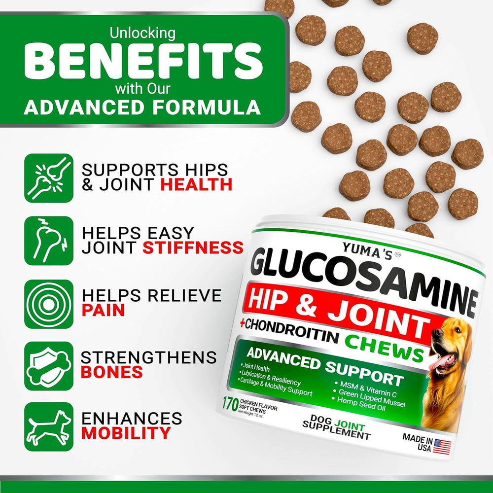 YUMA'S glucosamine and chondroitin dog joint-support chews aid flexibility and range of motion.