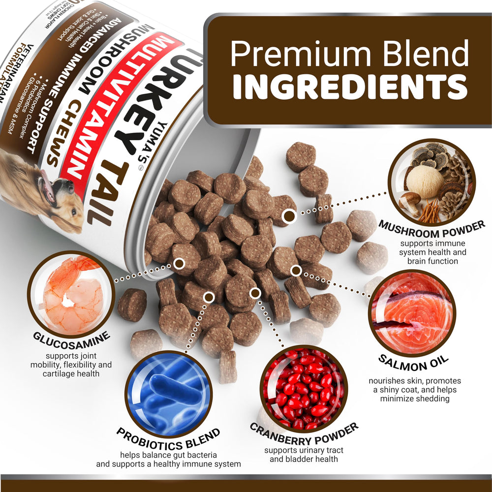 YUMA'S dog mushroom chews aid digestion and coat health