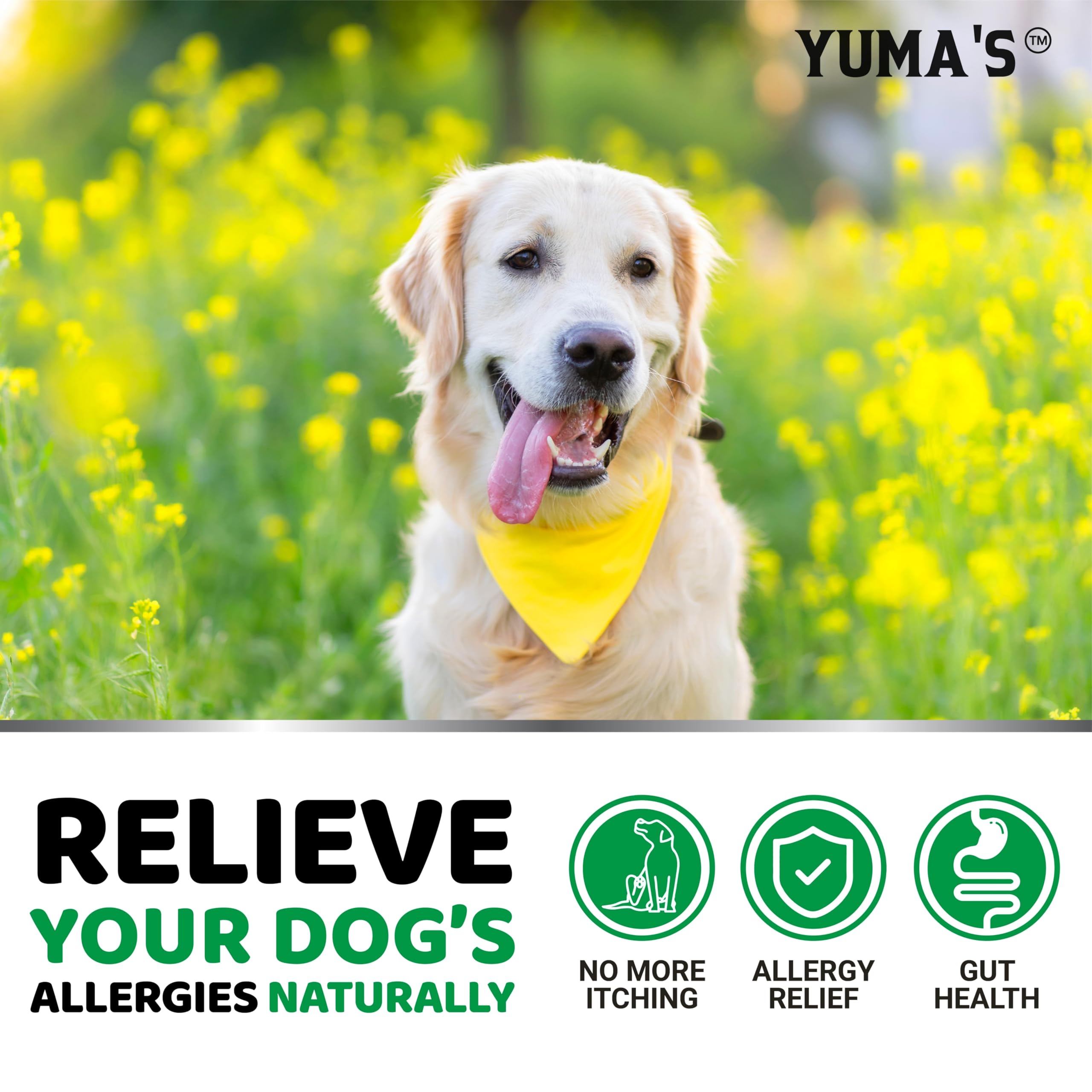YUMA'S dog skin relief chews provide a daily routine for coat health.