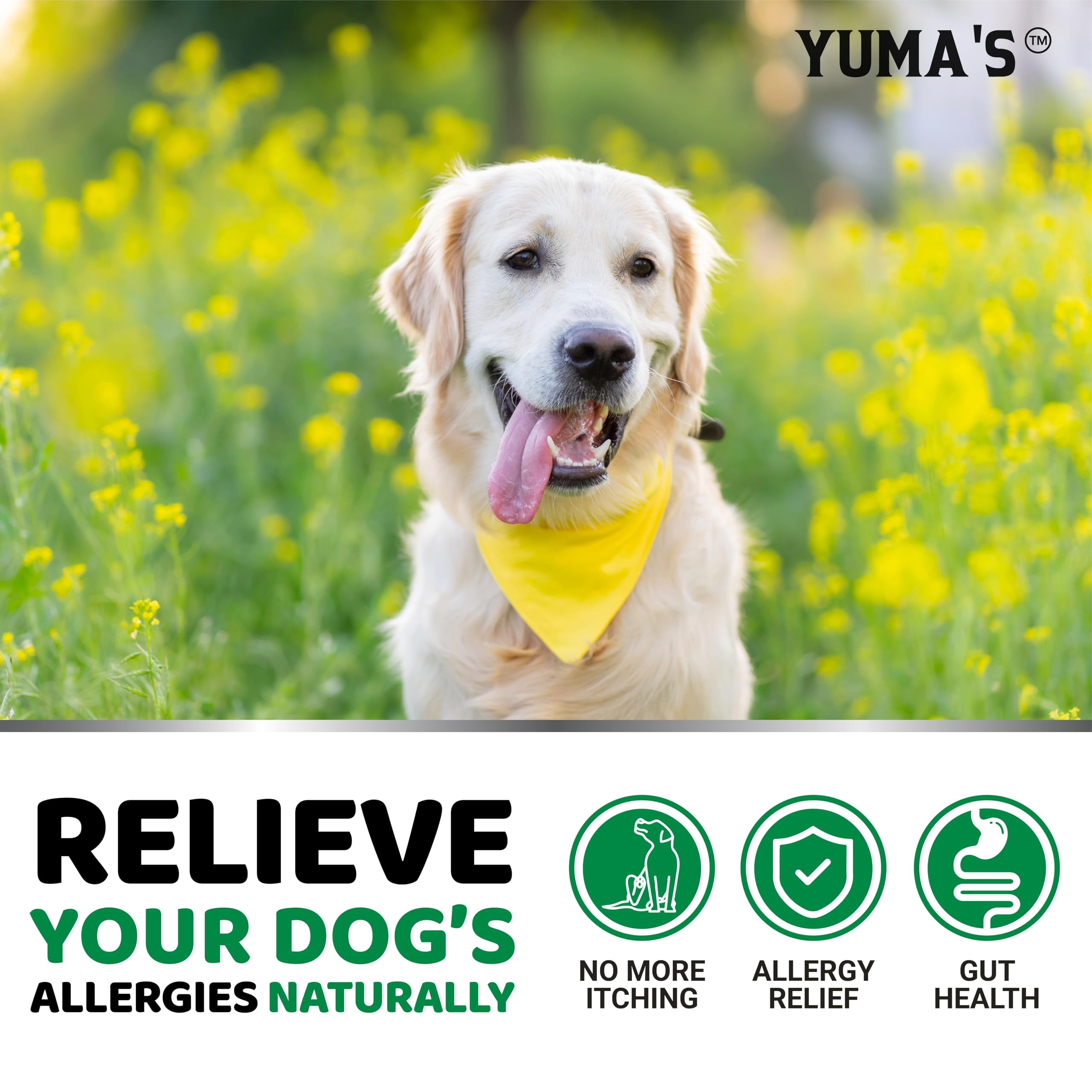 Dog paw beside YUMA'S chews, ideal for daily use.