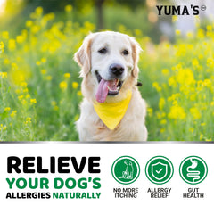 Dog paw beside YUMA'S chews, ideal for daily use.