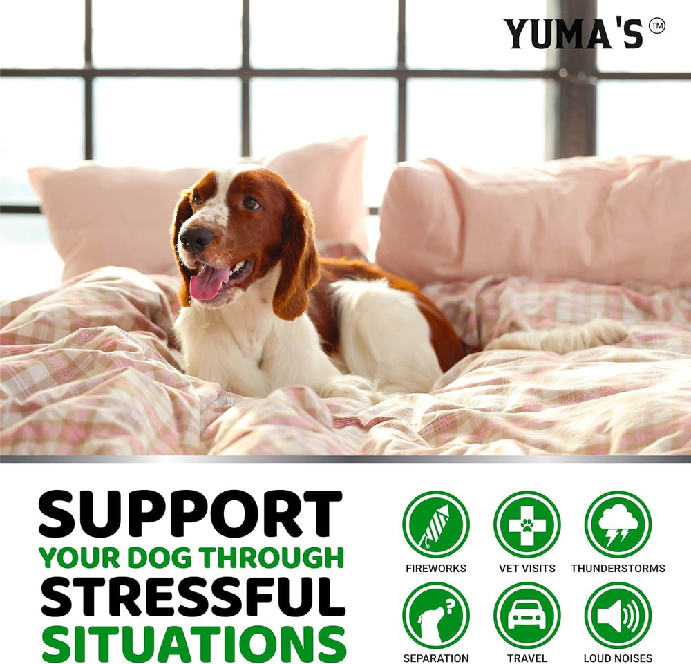 Dog relaxing during vet visit after using YUMA'S calming chew.