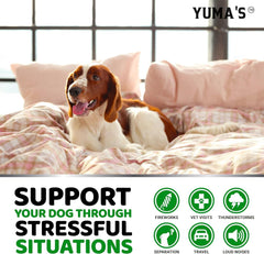 Dog relaxing during vet visit after using YUMA'S calming chew.