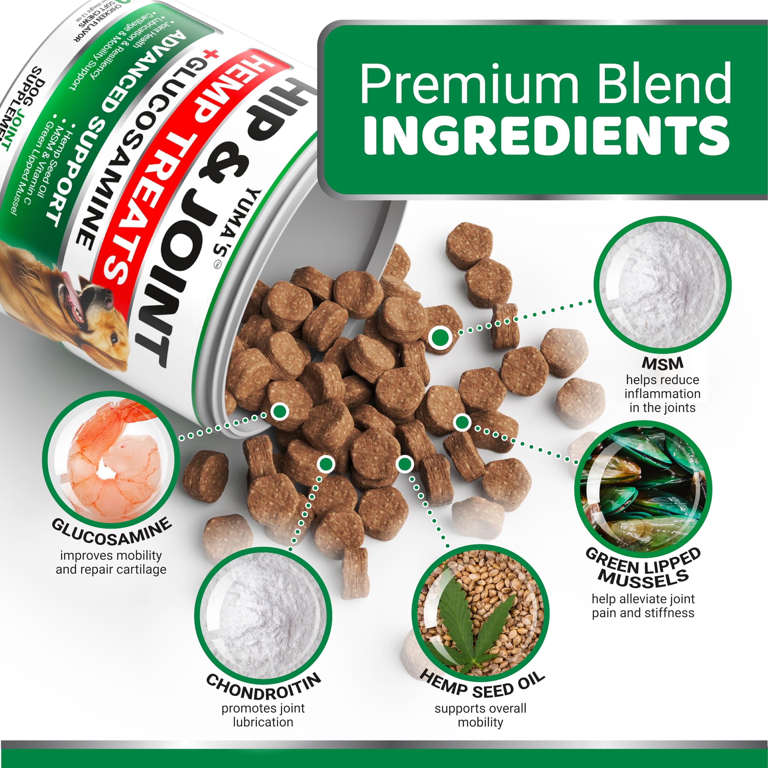 YUMA'S dog chews in hand for easy daily joint support.