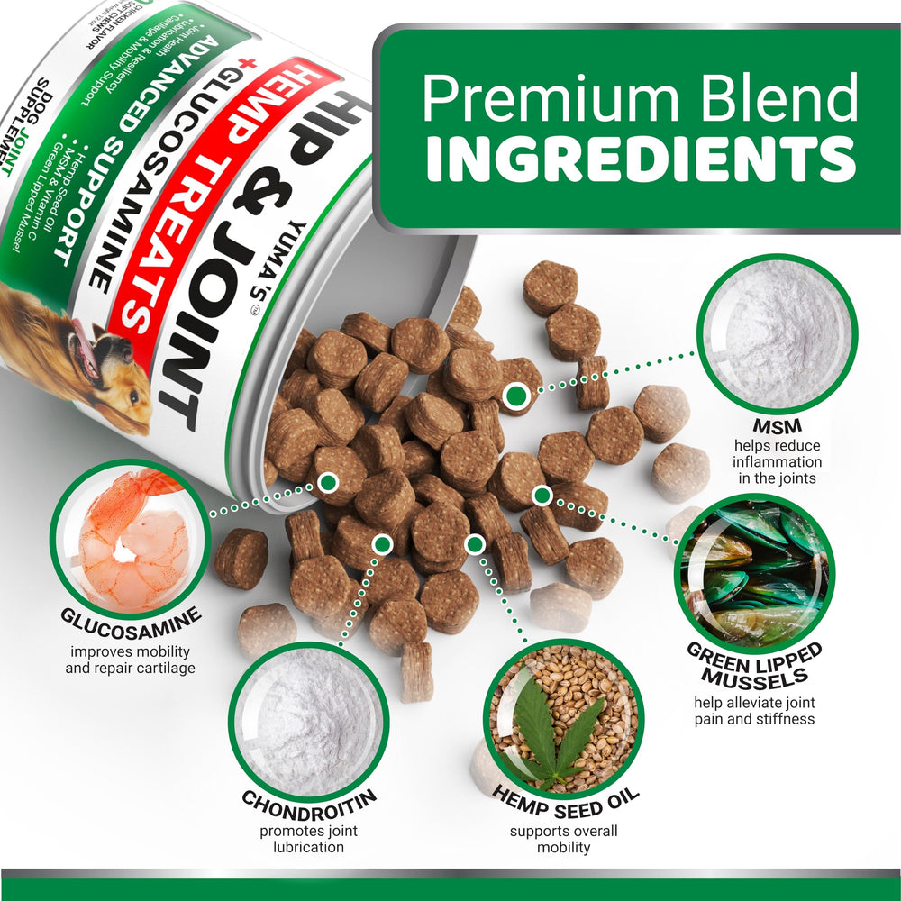 YUMA'S dog chews in hand for easy daily joint support.