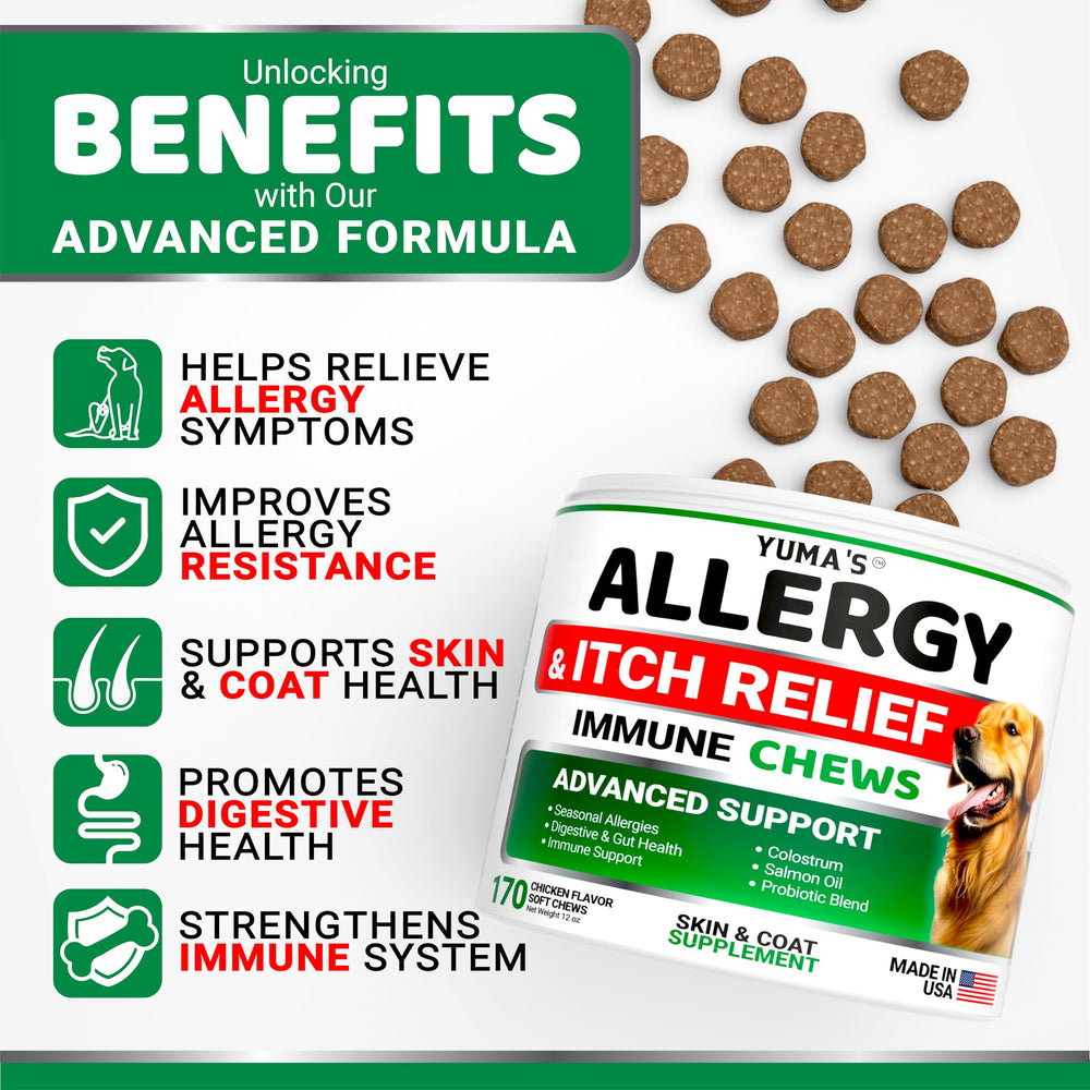 Close-up of YUMA'S Dog Allergy Relief Chews texture for palatable, vet-formulated skin support.