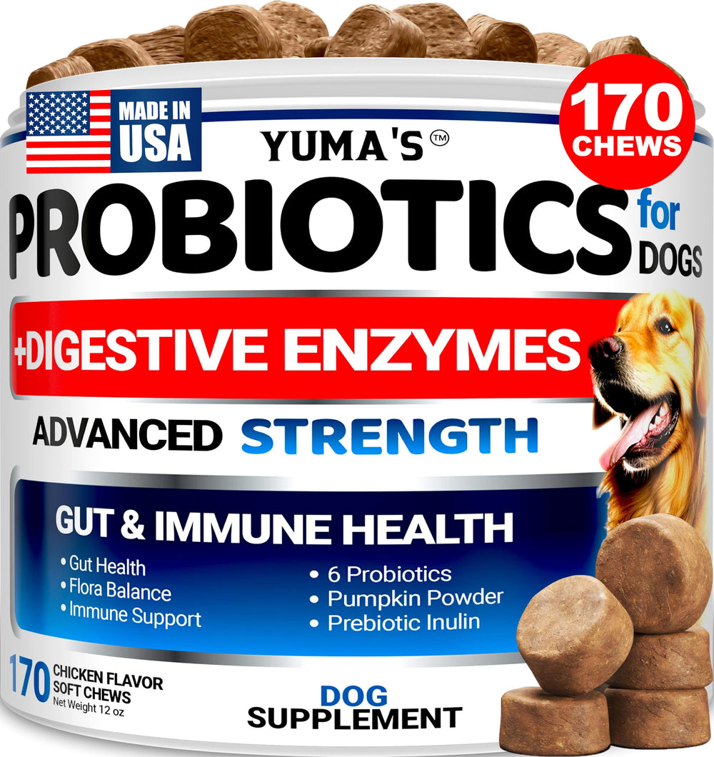 YUMA'S dog probiotics chews packaging featuring label for digestive support.