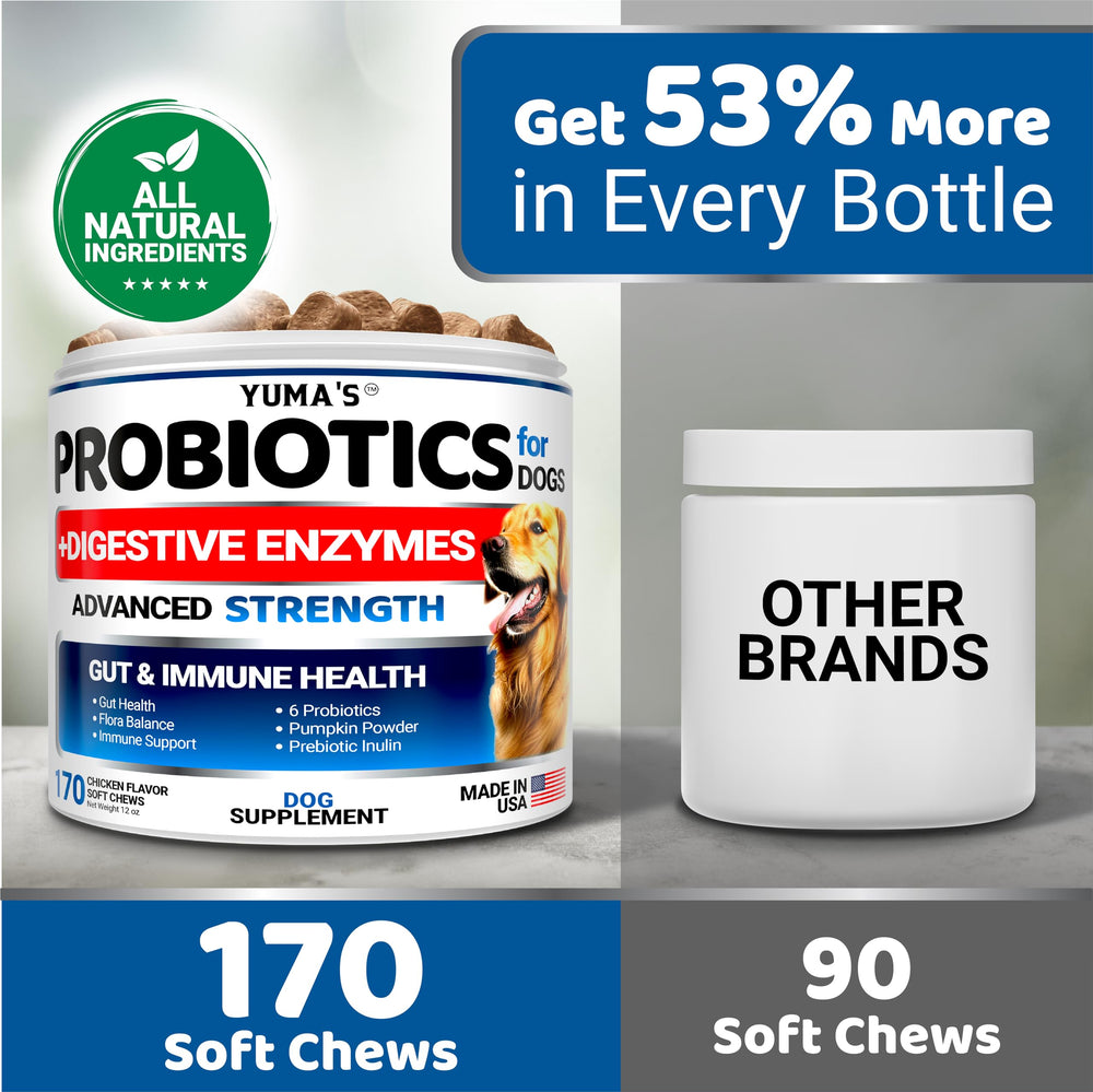 YUMA'S dog probiotics chews tub shown for easy home use and ongoing support.