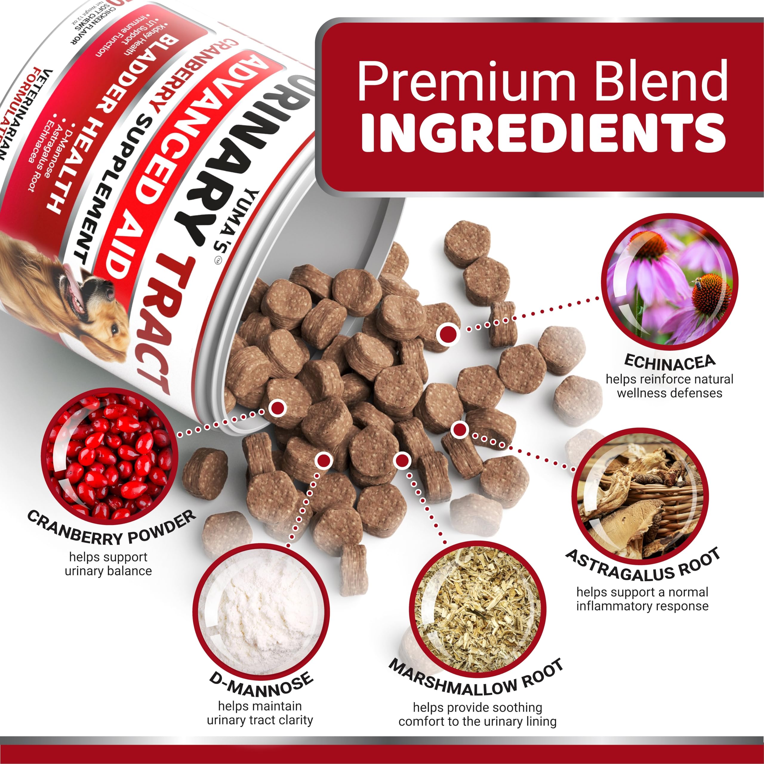 Close-up of YUMA'S UTI Chews texture and natural ingredients.