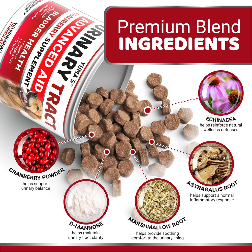 Close-up of YUMA'S UTI Chews texture and natural ingredients.