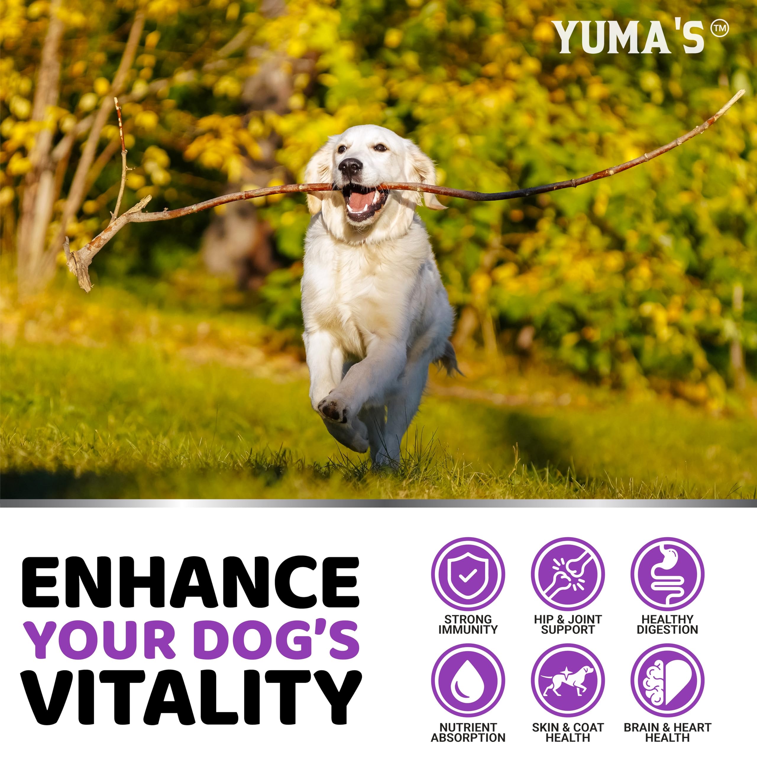 YUMA'S label shows glucosamine and joint support information