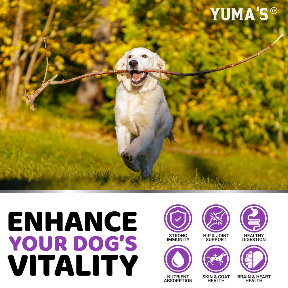 YUMA'S label shows glucosamine and joint support information