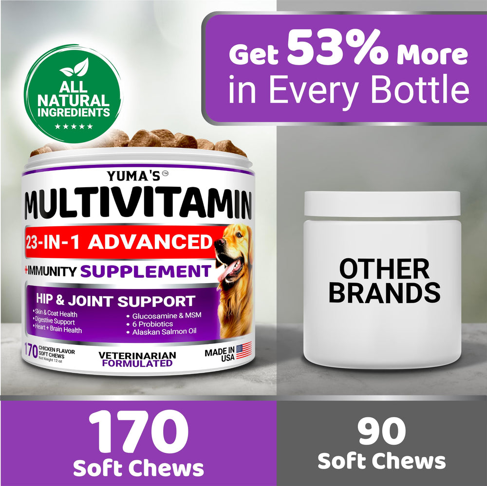 Packaging highlights probiotics and digestive health benefits for dogs