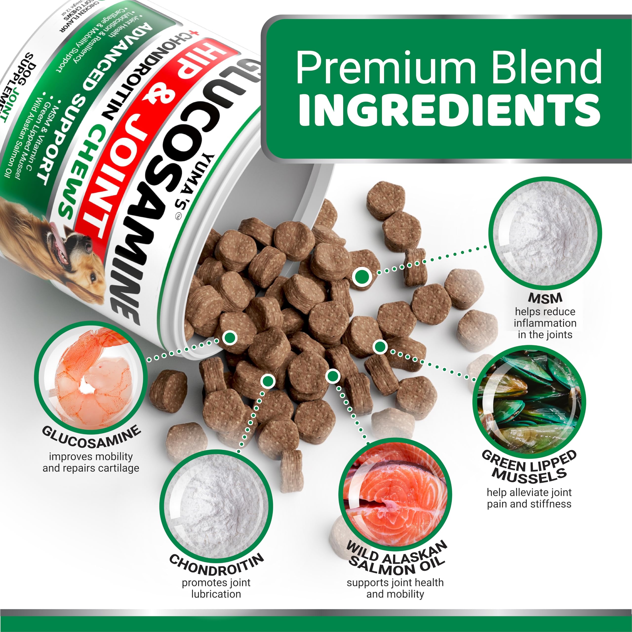 YUMA'S Glucosamine for Dogs label close-up emphasizes glucosamine and chondroitin