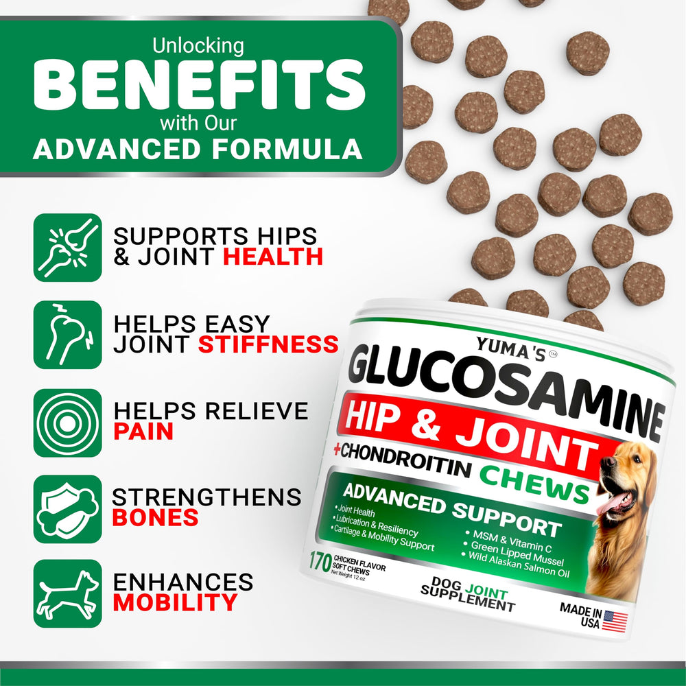 YUMA'S Glucosamine for Dogs packaging highlights USA-made veterinarian-formulated joint care
