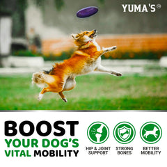 YUMA'S Glucosamine for Dogs chew texture close-up suggests a palatable daily treat