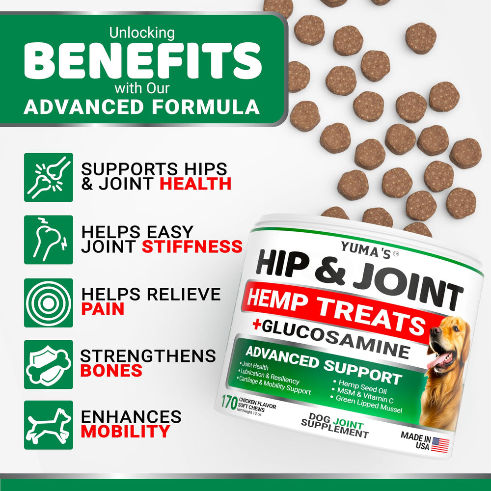 YUMA'S glucosamine dog joint supplement close-up hints at joint comfort.